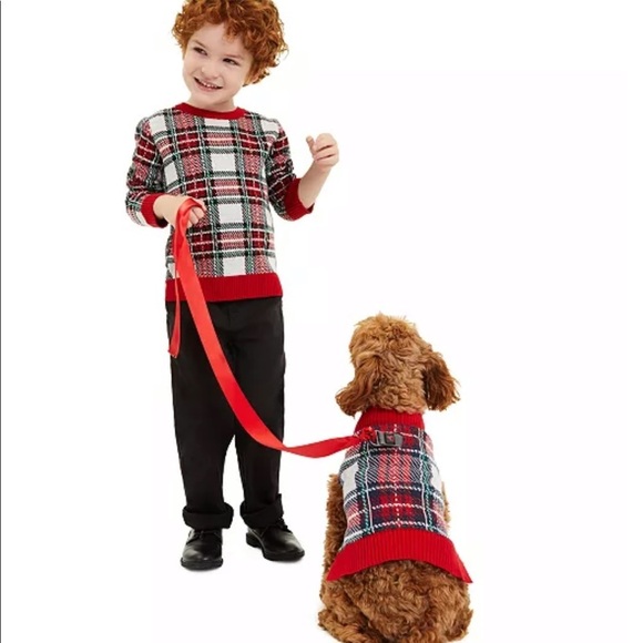 Charter Club Pet‎ Sweater - Picture 3 of 7